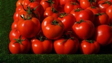 Domowy przecier pomidorowy – najlepszy sposób na smak lata