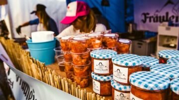 Praktyki zawodowe – wszystko co musisz wiedzieć