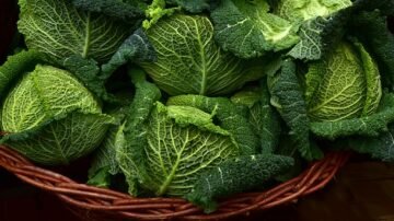 Kapusta z grzybami – tradycyjny przepis na danie wigilijne