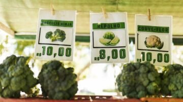 Przepis na krem z brokułów – aksamitna, zdrowa i pełna smaku zupa